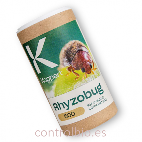 RHYZOBUG 500 contra cochinillas duras