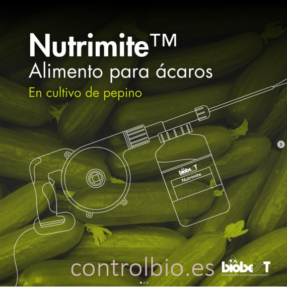 NUTRIMITE 500 gr polen de Typha