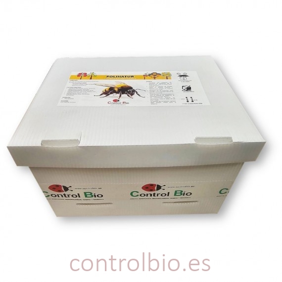 POLINATUR FRUTALES colmena premium de exterior