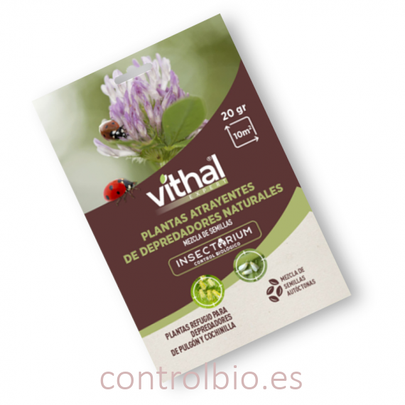 SEMILLAS DE PLANTAS ATRAYENTES DE DEPREDADORES NATURALES, mezcla de semillas Vithal insectarium