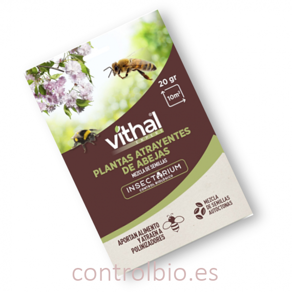 SEMILLAS DE PLANTAS ATRAYENTES DE ABEJAS POLINIZADORAS