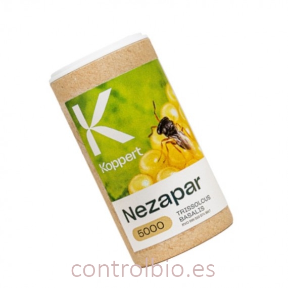 NEZAPAR contra Chinche verde apestosa