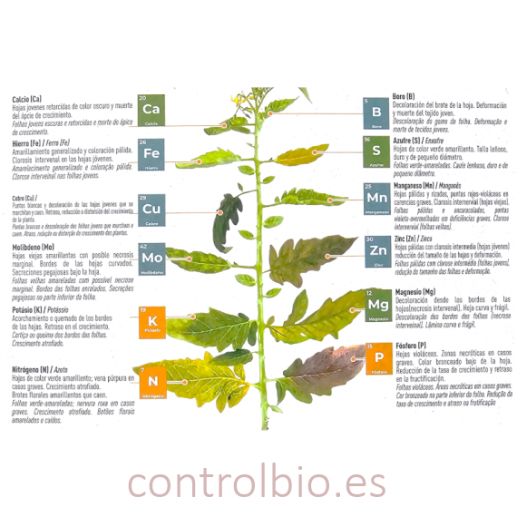 CARENCIA ZERO corrector multicarencial especial floración