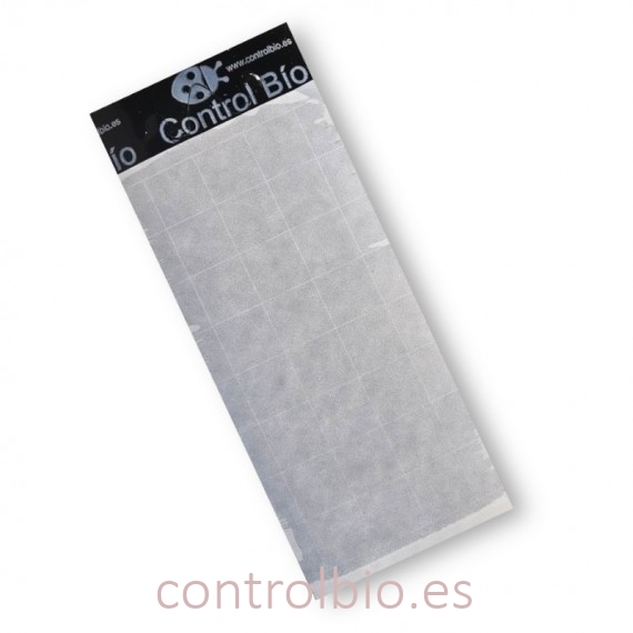 PLACA NEGRA 10 x 25 cm individual