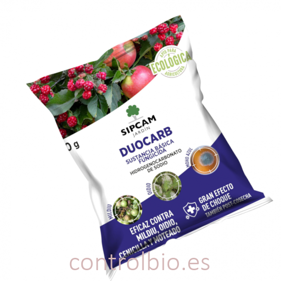 DUOCARB 60 gr