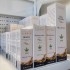 HAIR VITALITY SHAMPOO regenerador capilar
