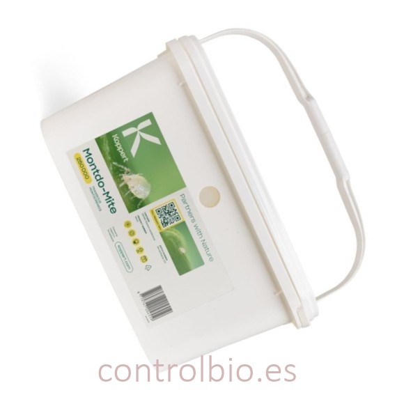MONTDO-MITE 250.000/6L