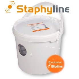 STAPHYLINE CUBO DE CRÍA depredador generalista en suelo