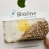APHIDOLINE 1000 BLISTER 4x250 Aphidoletes depredador de pulgón
