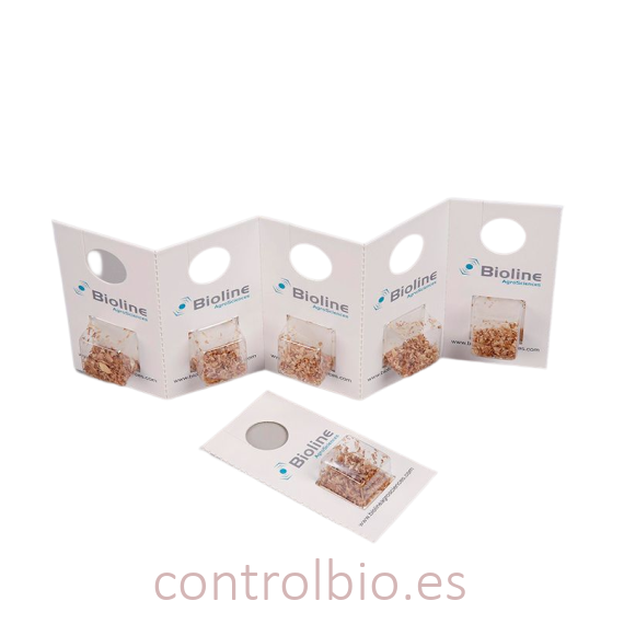 ERETLINE 5000 BLISTER 20x250 biocontrol de mosca blanca