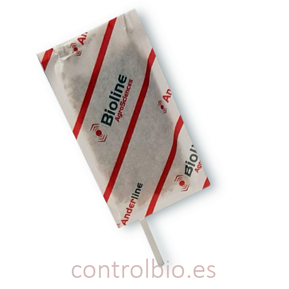 ANDERLINE STICK 200 sobres con palo