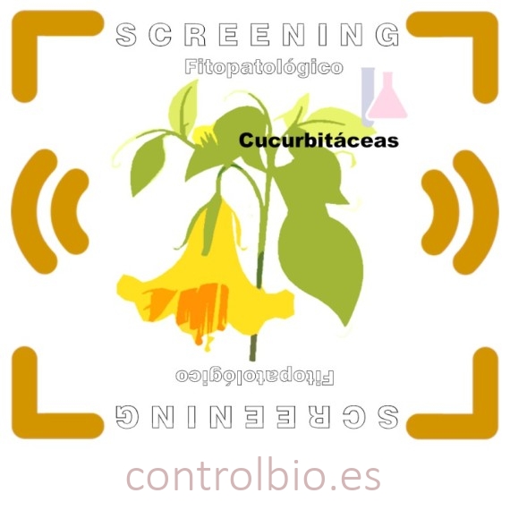 DETECCIÓN DE FITOPATÓGENOS en cucurbitáceas
