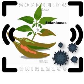 Análisis multiespecífico de virus en solanáceas