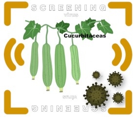 Análisis Multiespecífico de Virus en Cucurbitáceas (Screening)