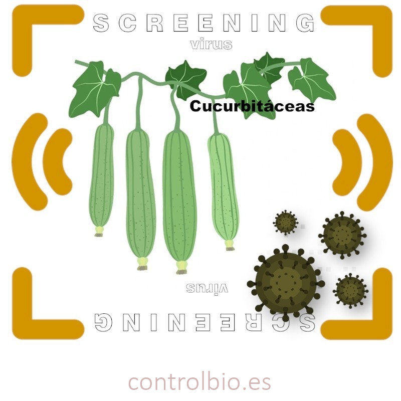 Análisis Multiespecífico de Virus en Cucurbitáceas (Screening)