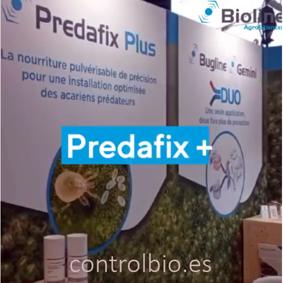 PREDAFIX PLUS 225 g alimento pulverizable para ácaros depredadores