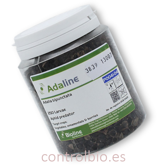 ADALINE 250 larvas de mariquitas contra pulgón