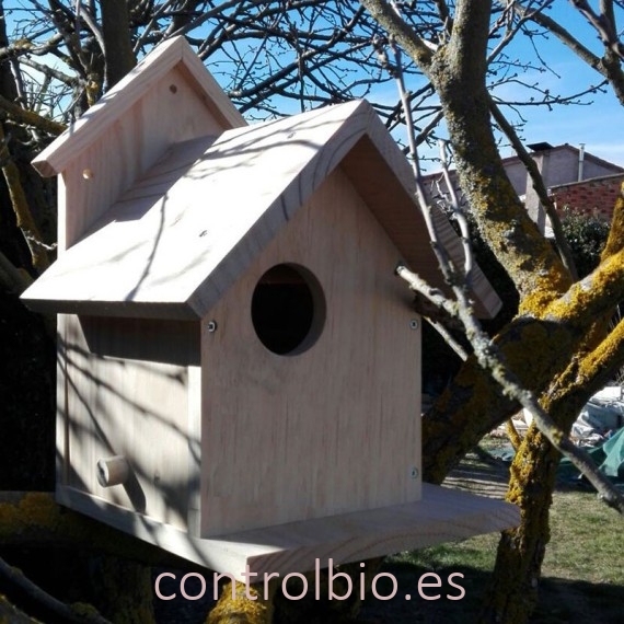 CAJA NIDO ARDILLA