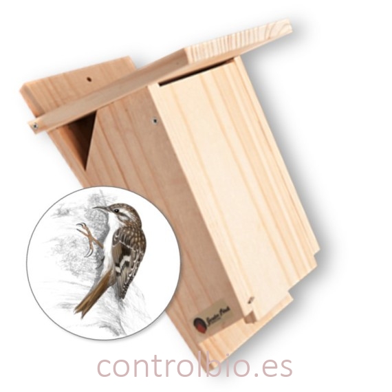 CAJA NIDO modelo CERTHIA agateador