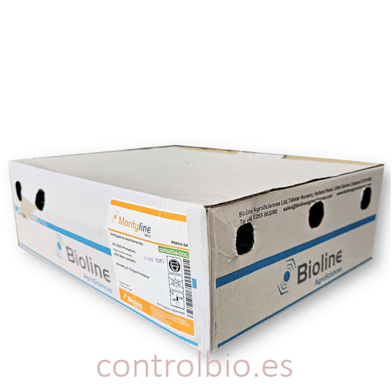 MONTYLINE X 200 SOBRES prevención trips / mosca blanca