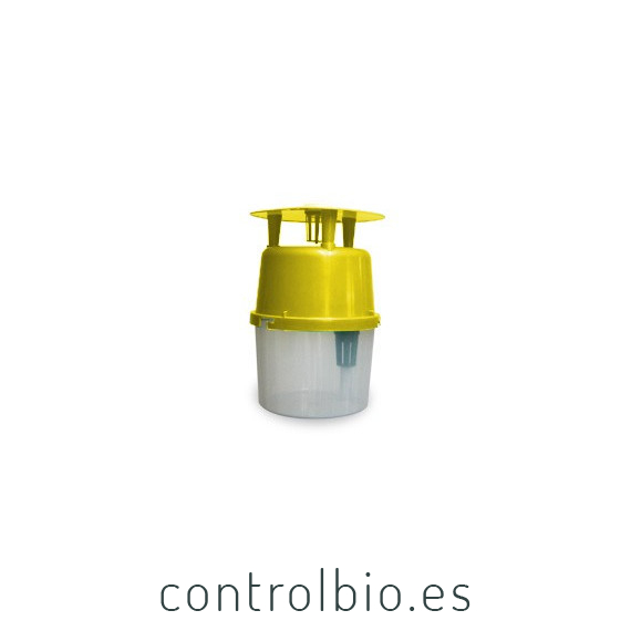 POLILLERO LEPISAN Caja 30 uds.