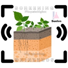 DETECCIÓN DE FITOPATÓGENOS en suelos de cultivo