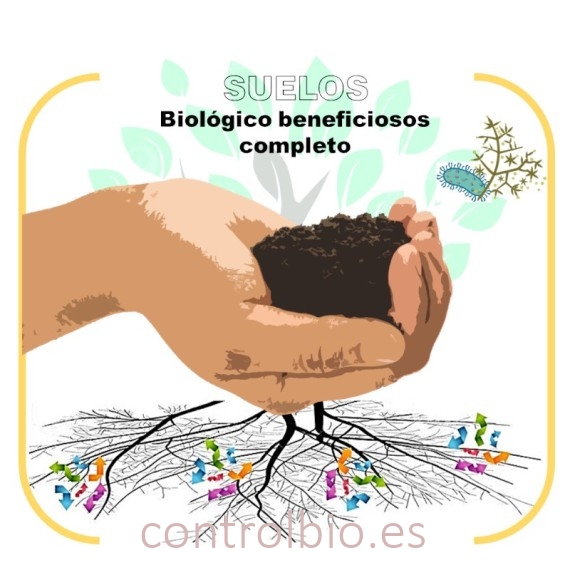 DETECCIÓN de microorganismos beneficiosos de suelo