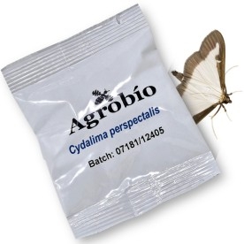 POLILLA DEL BOJ feromona 40 dias