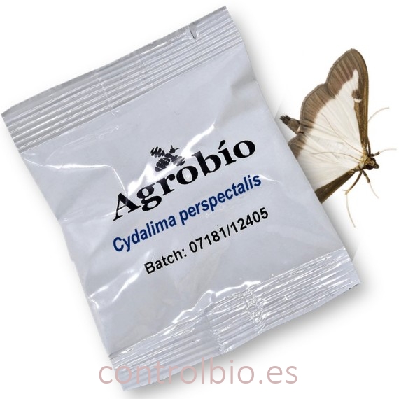 POLILLA DEL BOJ feromona 40 dias
