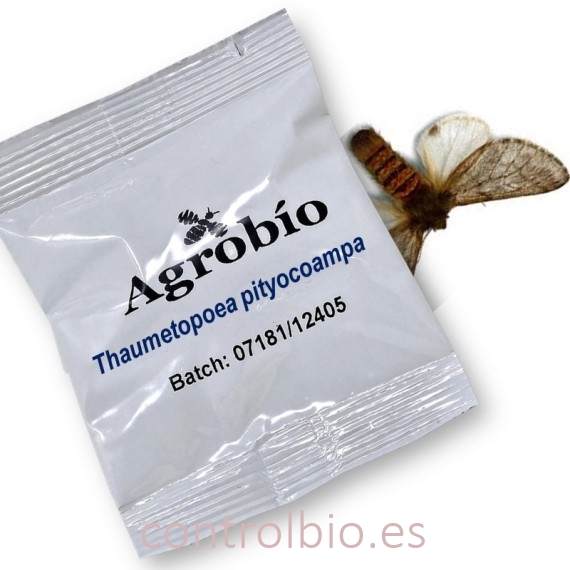 PROCESIONARIA DEL PINO feromona Agrobio 40 dias