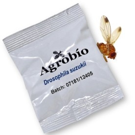 DROSOPHILA SUZUKII feromona Agrobio 60 dias