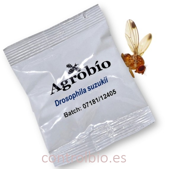 DROSOPHILA SUZUKII feromona Agrobio 60 dias