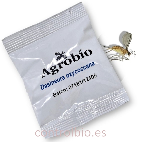 DASINEURA OXYCOCCANA feromona Agrobio