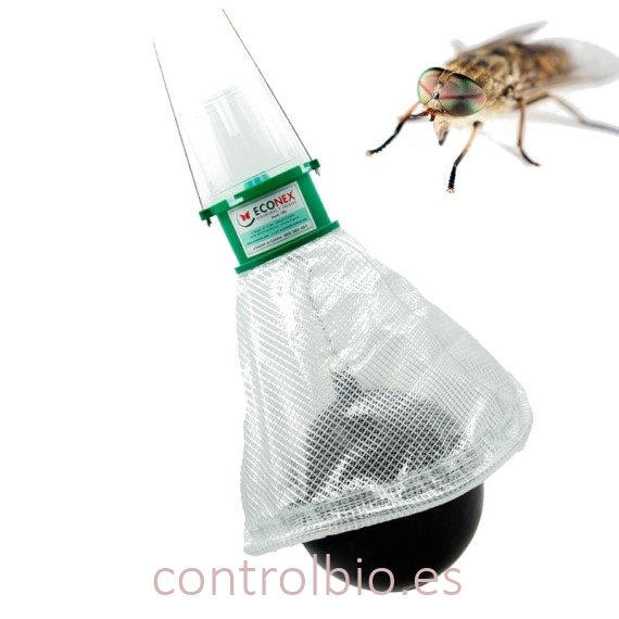 TRAMPA PARA TÁBANOS