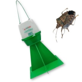 TRAMPA PARA HALYOMORPHA HALYS