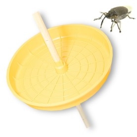TRAMPA GORGOJO DE LA COLZA Ceuthorrhynchus