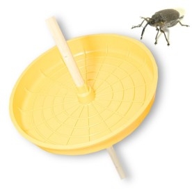 TRAMPA GORGOJO DE LA COLZA Ceuthorrhynchus