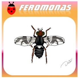 RHAGOLETIS POMONELLA feromona 90 dias