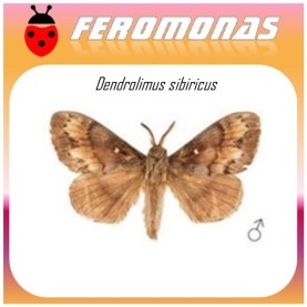 DENDROLIMUS SIBIRICUS feromona polilla siberiana 60 dias