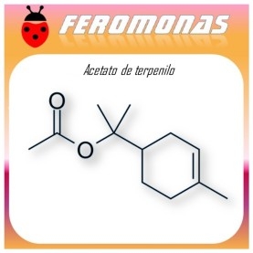 ACETATO DE TERPENILO 90 dias