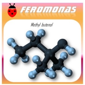 METHYL BUTENOL 60 DÍAS