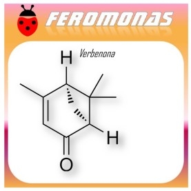 VERBENONA repelente para xilófagos de la corteza del pino 60 días