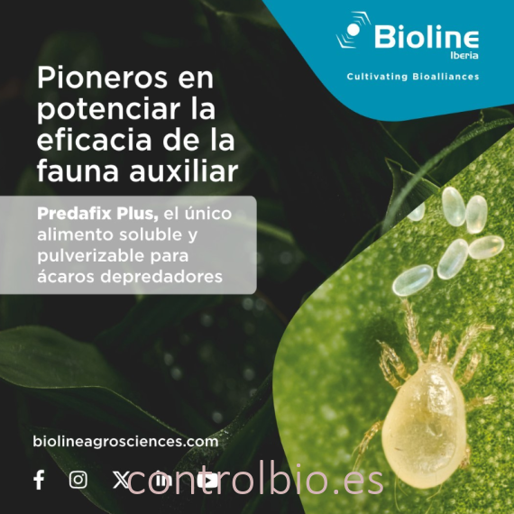 PREDAFIX PLUS 225 g alimento pulverizable para ácaros depredadores