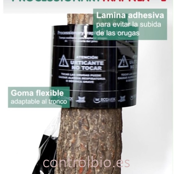 PROCESSIONARYTRAPNEX® trampa de collar Econex para procesionaria