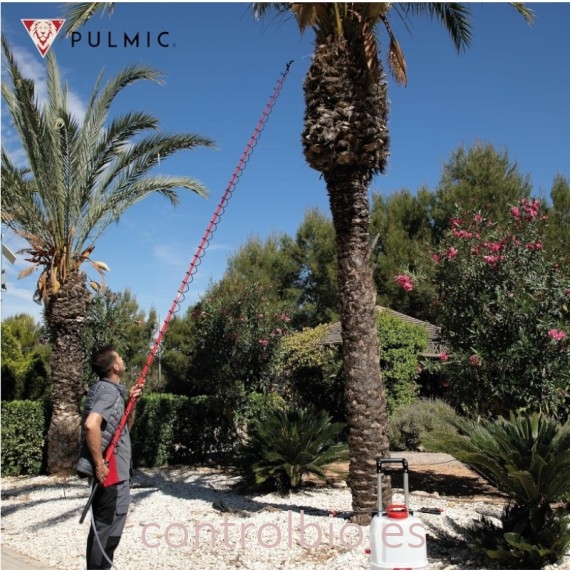LANZA TELESCÓPICA PULMIC 5M