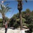 LANZA TELESCÓPICA PULMIC 5M