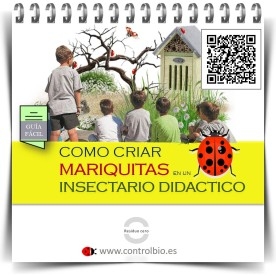 GUÍA FÁCIL. Cómo criar mariquitas en un insectario didáctico