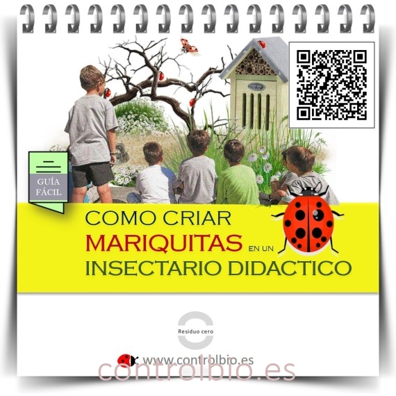 GUÍA FÁCIL. Cómo criar mariquitas en un insectario didáctico
