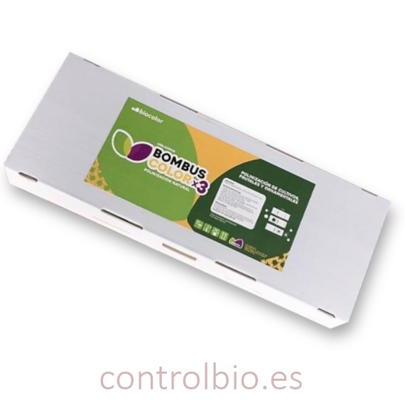 BOMBUSCOLOR colmena de abejorros triple