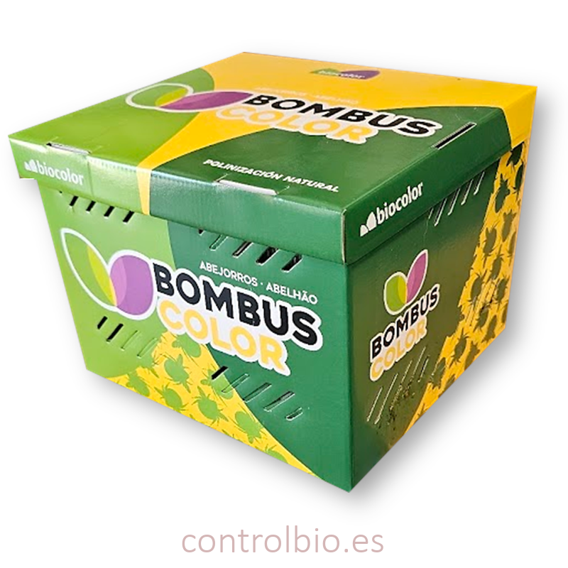 BOMBUS COLOR colmena de abejorros